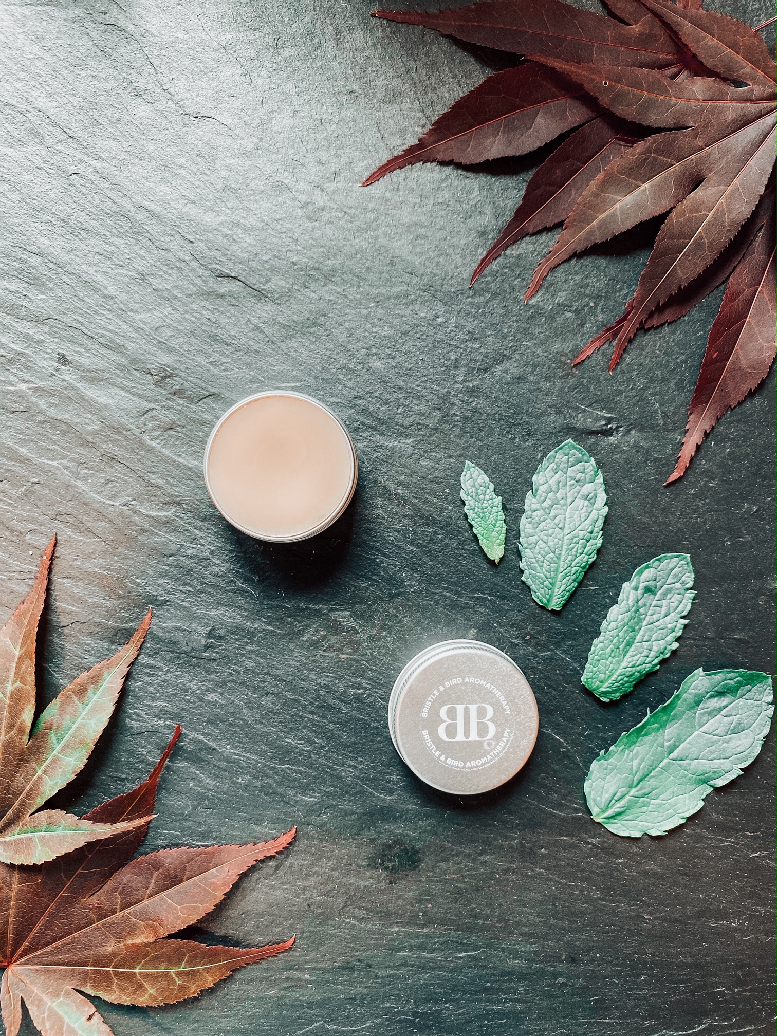 Recovery Lip Balm 15ml