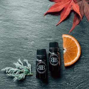 Bristle and Bird Blend 2x10ml