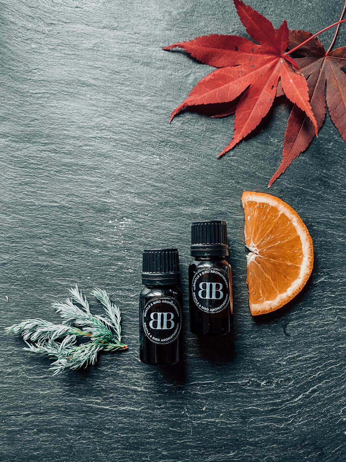 Bristle and Bird Blend 2x10ml